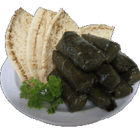 Dolma